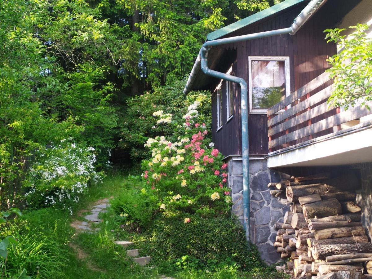 Chata na Poskle u lesa s výhledem Hutisko Exteriér fotografie